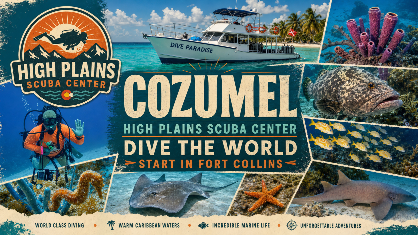 Voted best travel by all of Ohana in Foco.